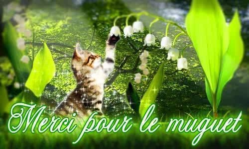 Chat gratuit 92